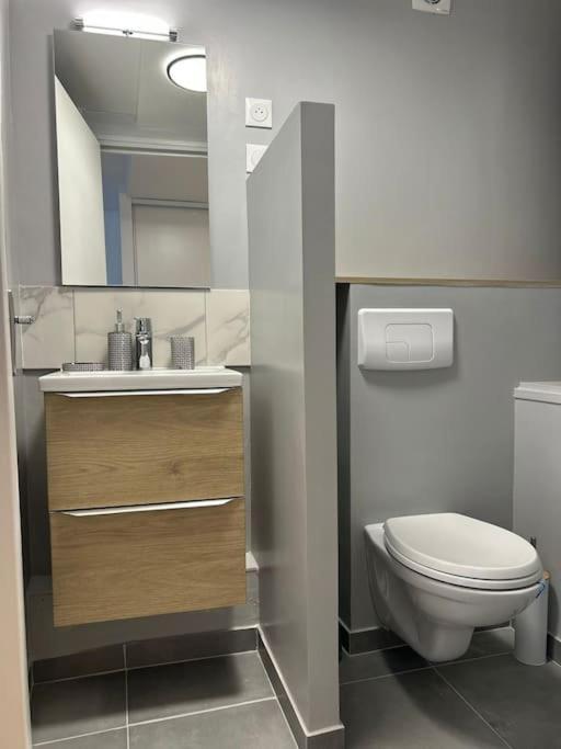 New Cosy House 15 Min Paris Roissy Cdg & 6 Min Parc Asterix I Villepinte Vemars Zewnętrze zdjęcie